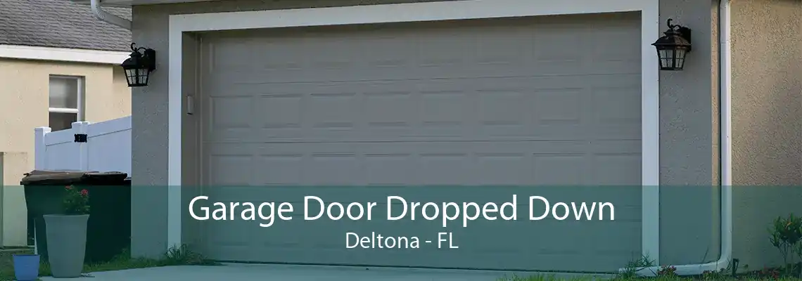 Garage Door Dropped Down Deltona - FL