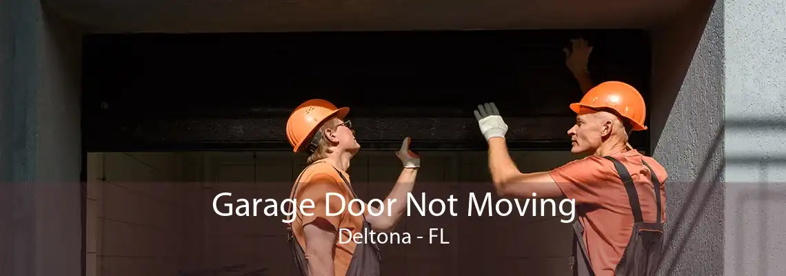 Garage Door Not Moving Deltona - FL