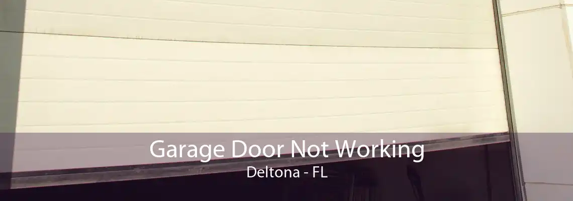 Garage Door Not Working Deltona - FL