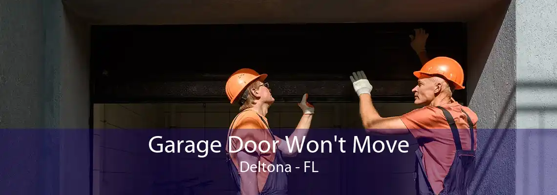 Garage Door Won't Move Deltona - FL